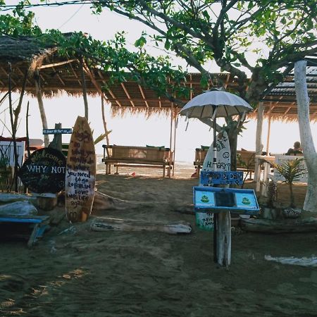 Why Not Bar And Bungalows #2 Pemenang Kültér fotó